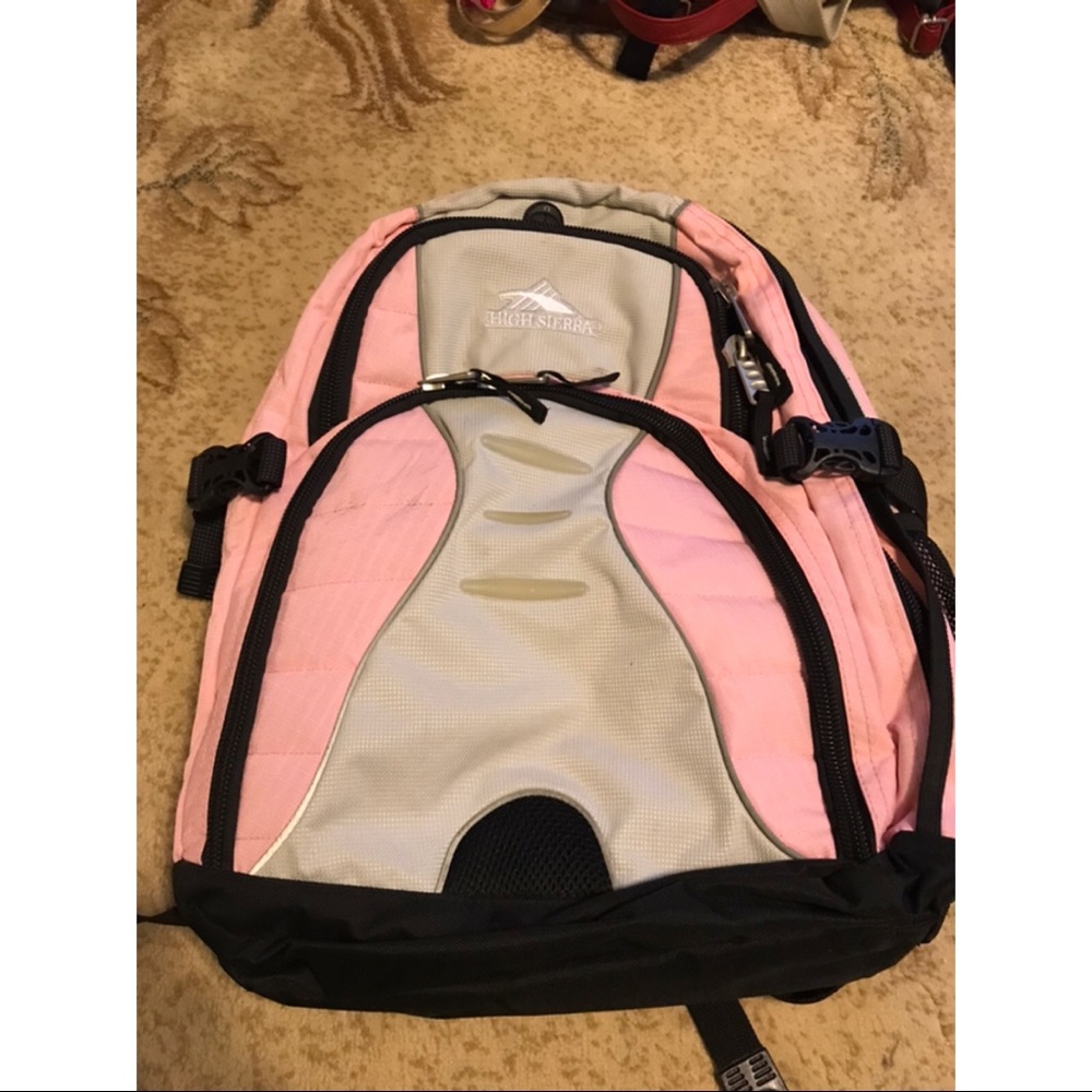 Pink and Gray Backpack